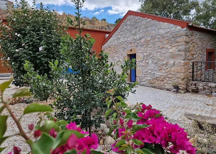 Moinhos Da Pereira - * Tarouca